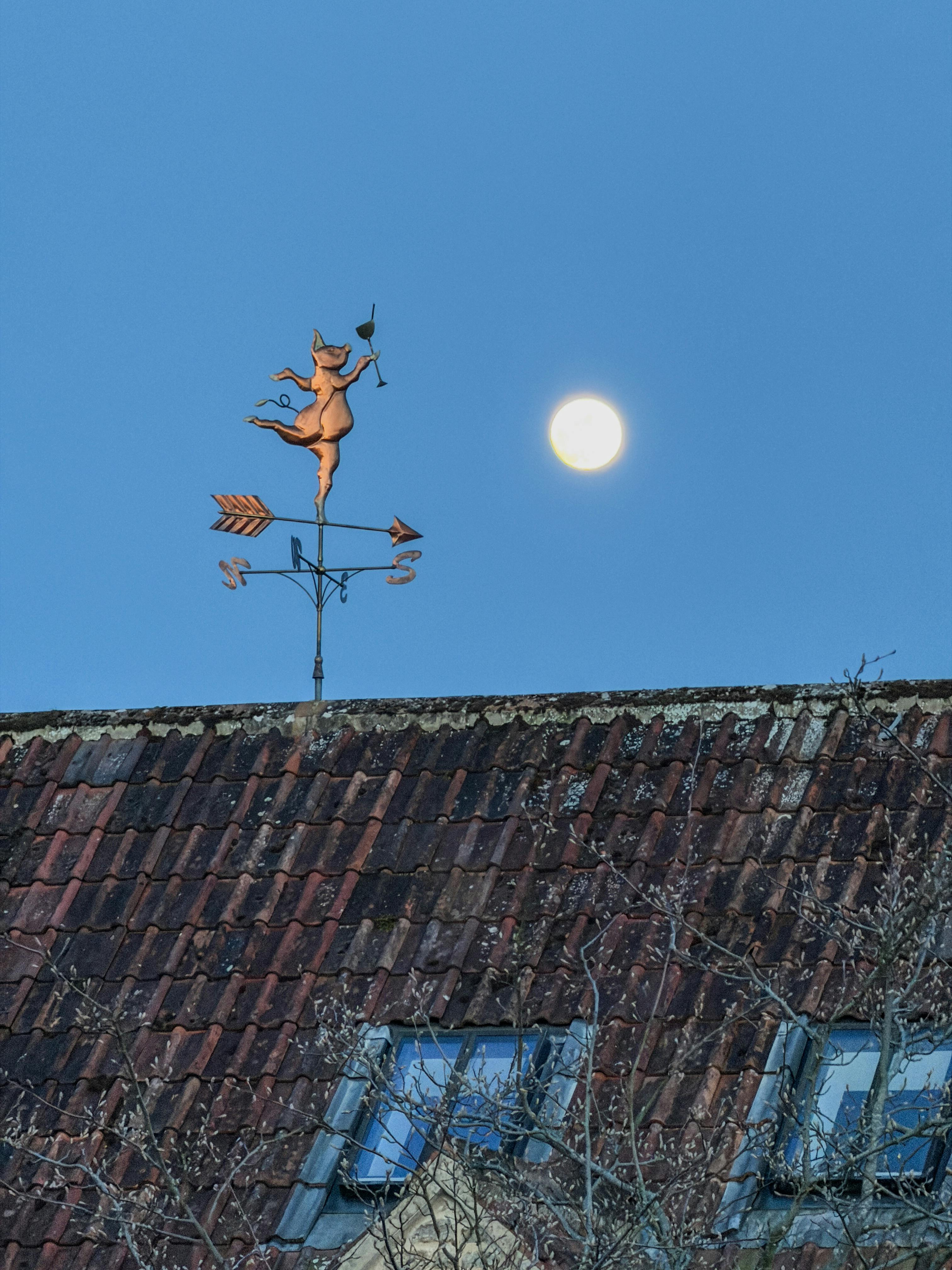 Gratuit Une girouette fantaisiste perchée sur un toit rustique, avec la pleine lune en arrière-plan, à Malmesbury, en Angleterre. Photos