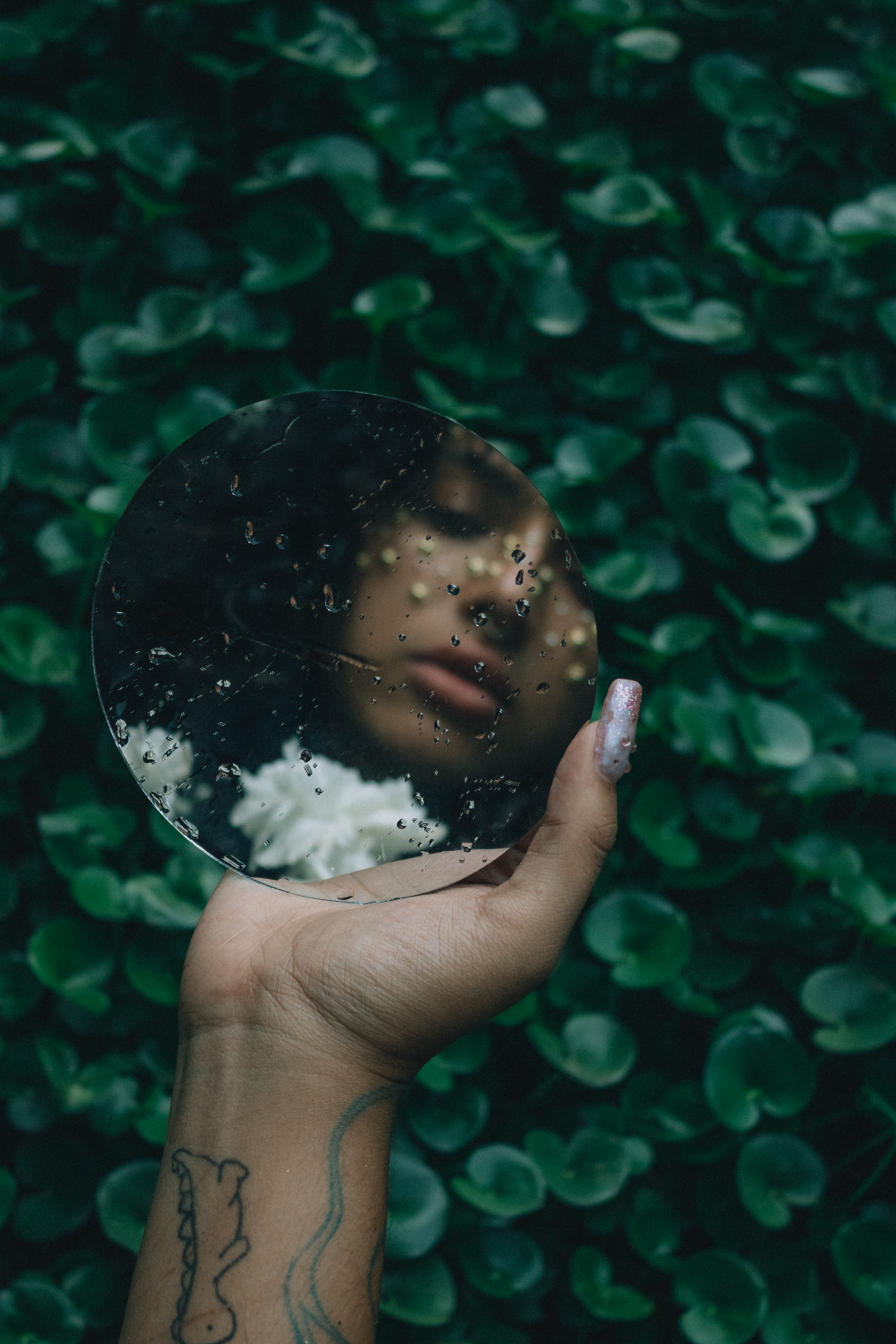 Artistic Reflection in Round Mirror with Nature Background · Free Stock ...