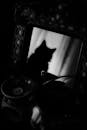 Artistic Black and White Cat Silhouette in Mirror