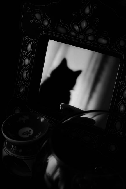 Intriguing black and white photo of a cat's silhouette reflected in an ornate mirror.