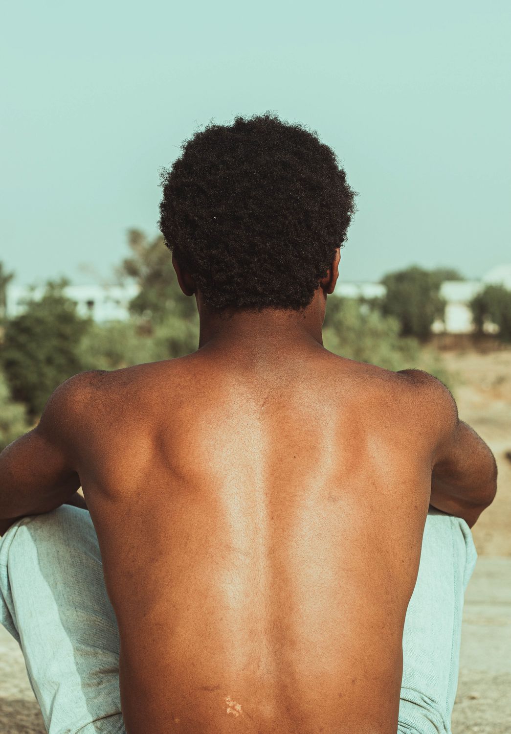 Back View of Man Sitting Outdoors · Free Stock Photo