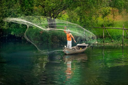 Free Tranquil scene of a fisherman casting a net from a wooden boat on a calm river surrounded by greenery. Stock Photo