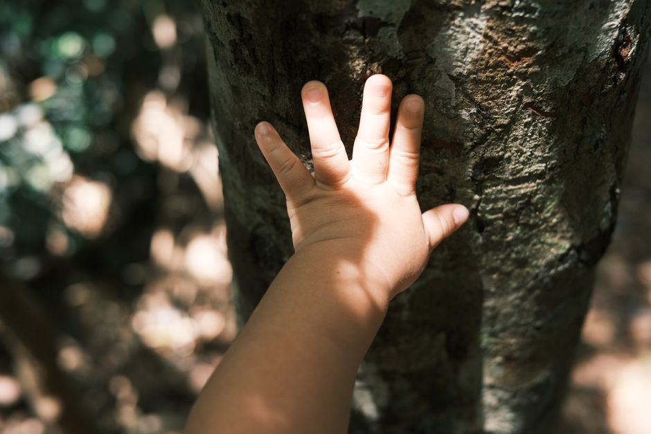 Thousands of Queensland Child Safety Workers Plan Industrial Action