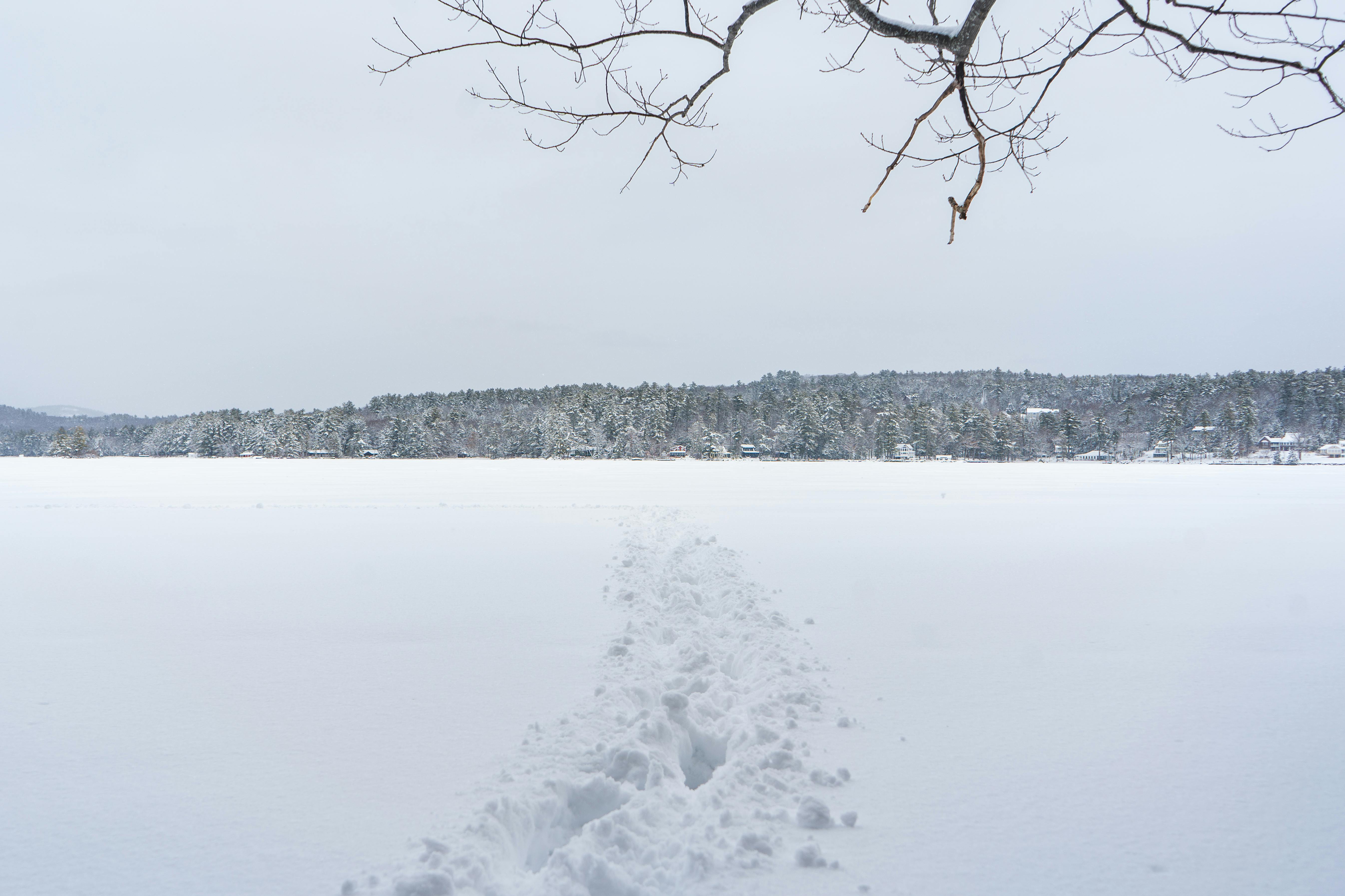 бесплатная Безмятежный зимний пейзаж: тропинка, проложенная сквозь снег, ведет к заснеженному лесному горизонту. Стоковое фото