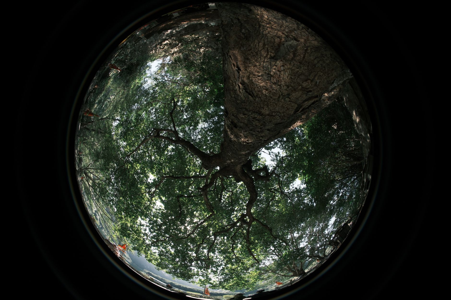 Lenovo 360 Framework Evolves With Simplified Tiers, Services Growth Pathways, And New Technical Community