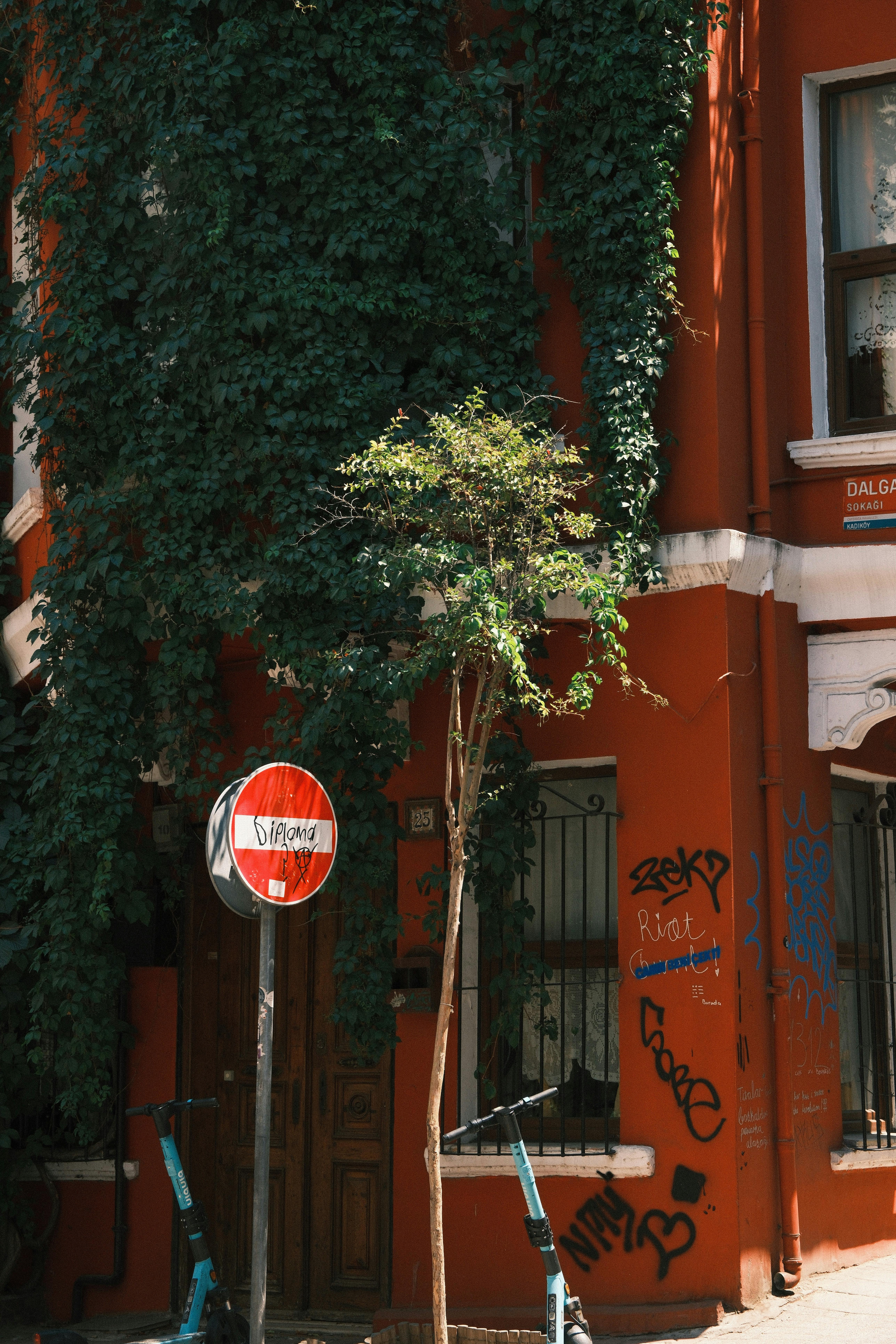 Δωρεάν στοκ φωτογραφιών με street art, ανάπτυξη φυτού, απαγορεύεται η είσοδος Φωτογραφία από στοκ φωτογραφιών