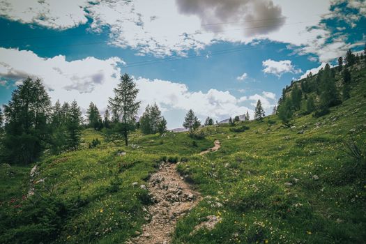A tranquil mountain trail winding through lush greenery under a bright sky.