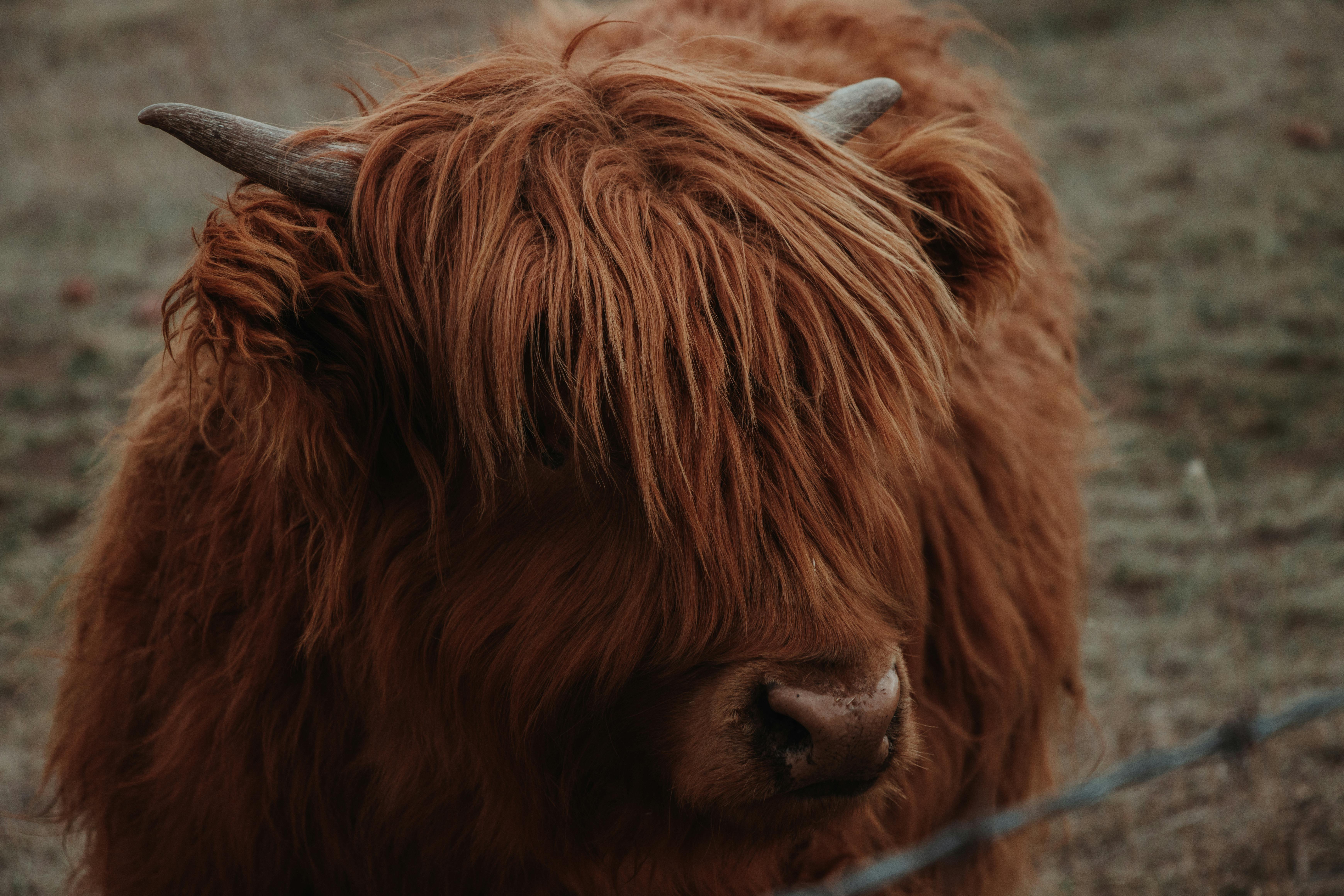 Mortgage Rates Today, Thursday, March 5: Back Under 6%