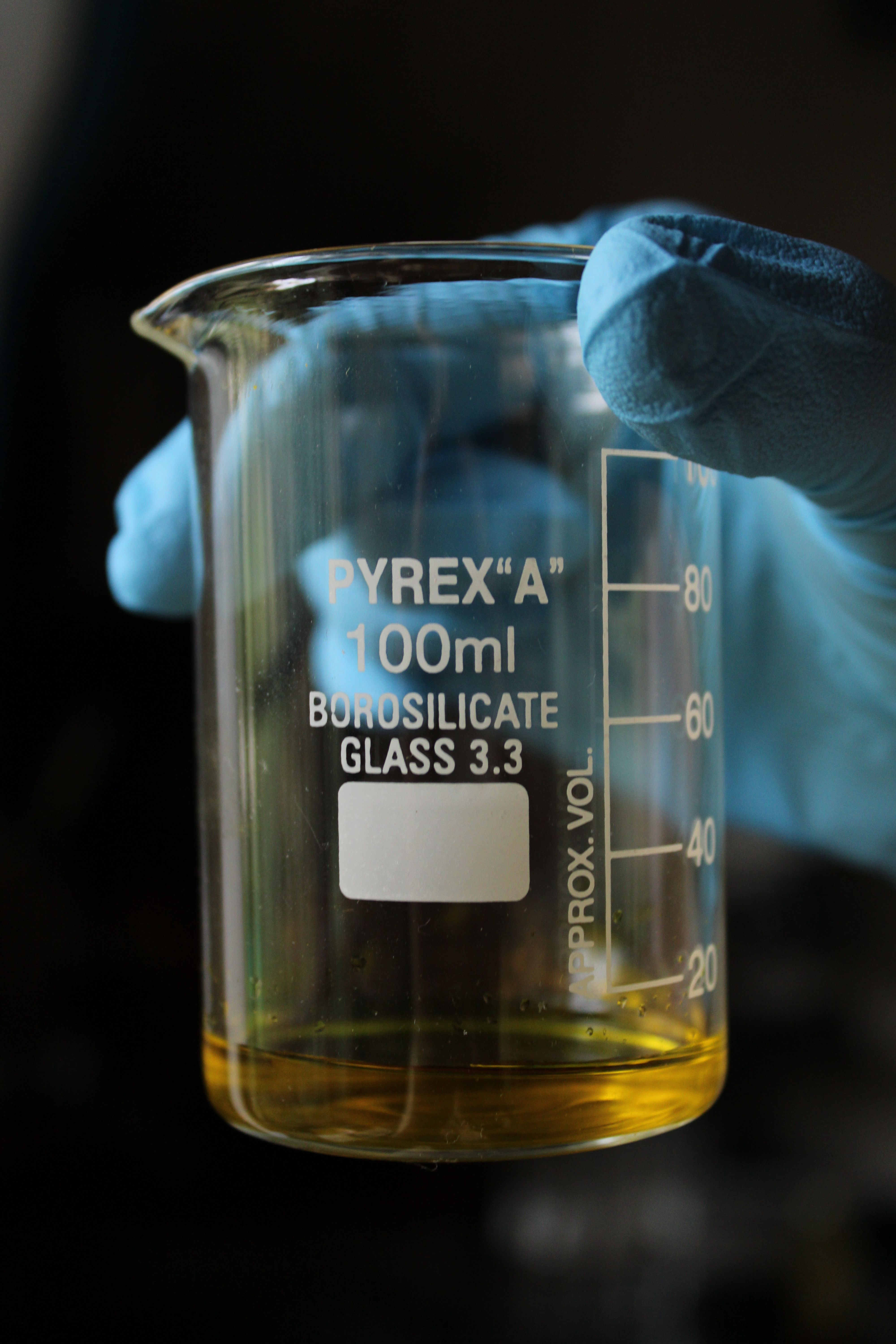Lab Technician Holding Pyrex Beaker with Liquid · Free Stock Photo