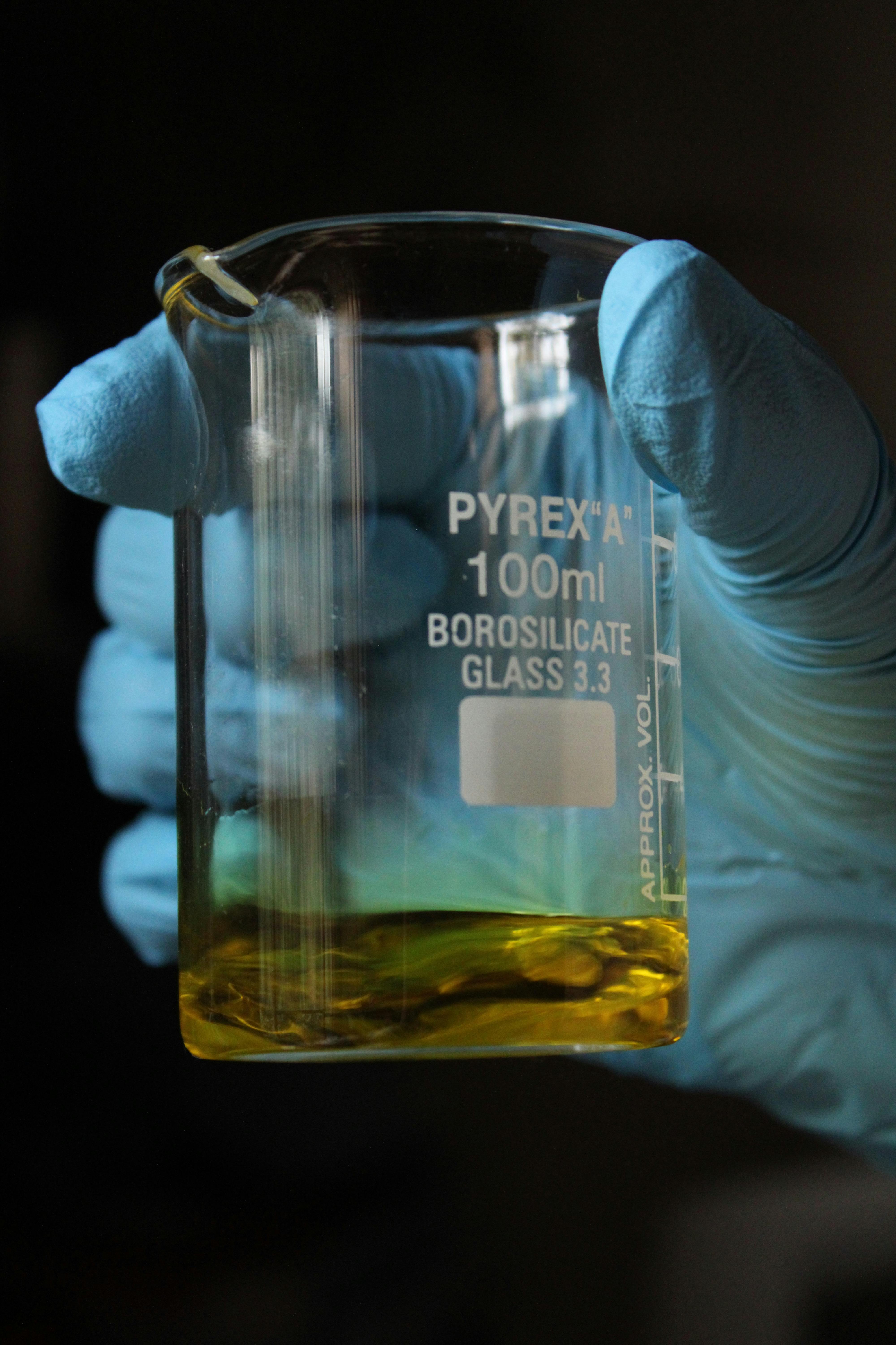 Close-up of a gloved hand holding a Pyrex beaker with yellow liquid, ideal for science and research themes.