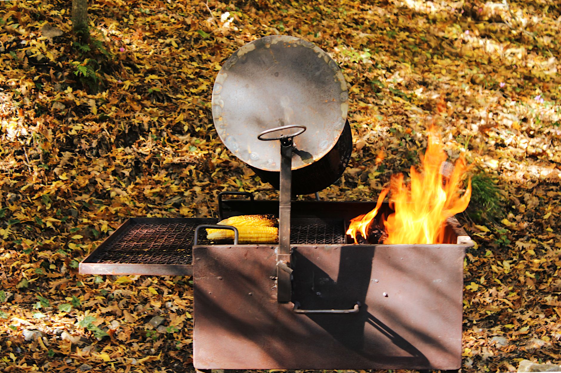 Grilled vegetable skewers on campfire grill