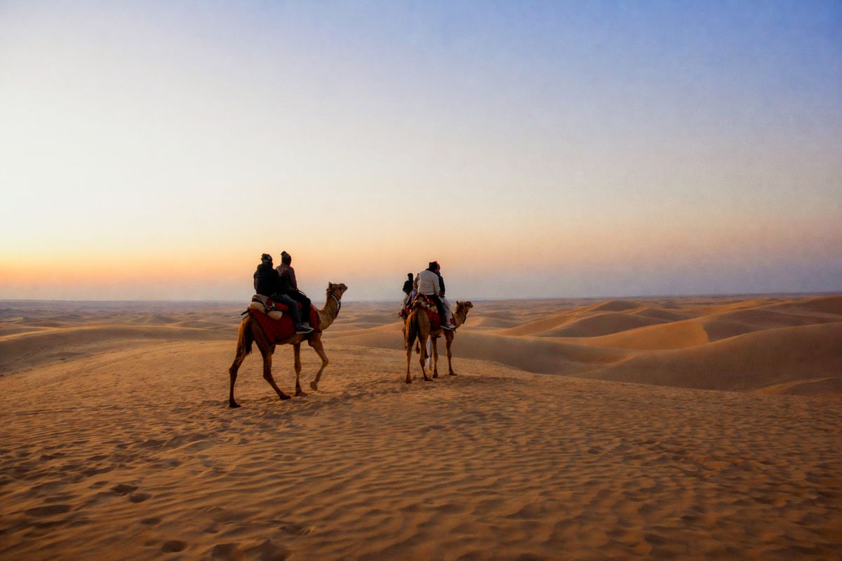 Camel safari crossing Jaisalmer sand dunes at sunset