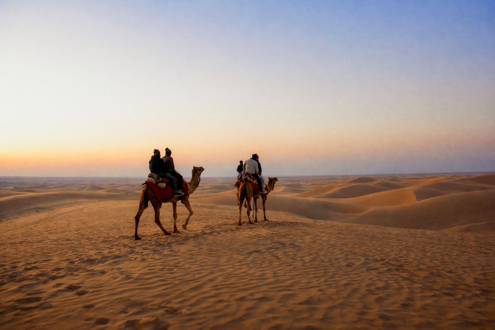 Camel caravan crossing golden sand dunes at sunset in the Jaisalmer desert