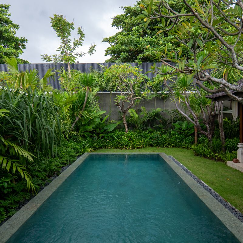 Kolam renang villa dikelilingi tanaman tropis