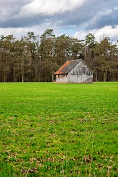 A solitary rustic shed in a vibrant green field with a forest backdrop in Coesfeld, Germany.