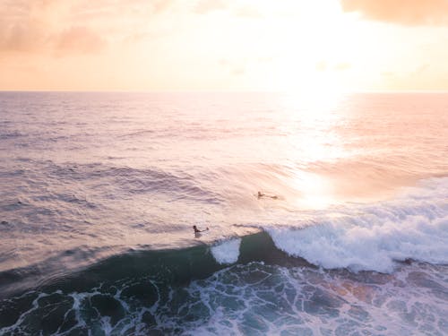 Free Ocean Waves  Stock Photo