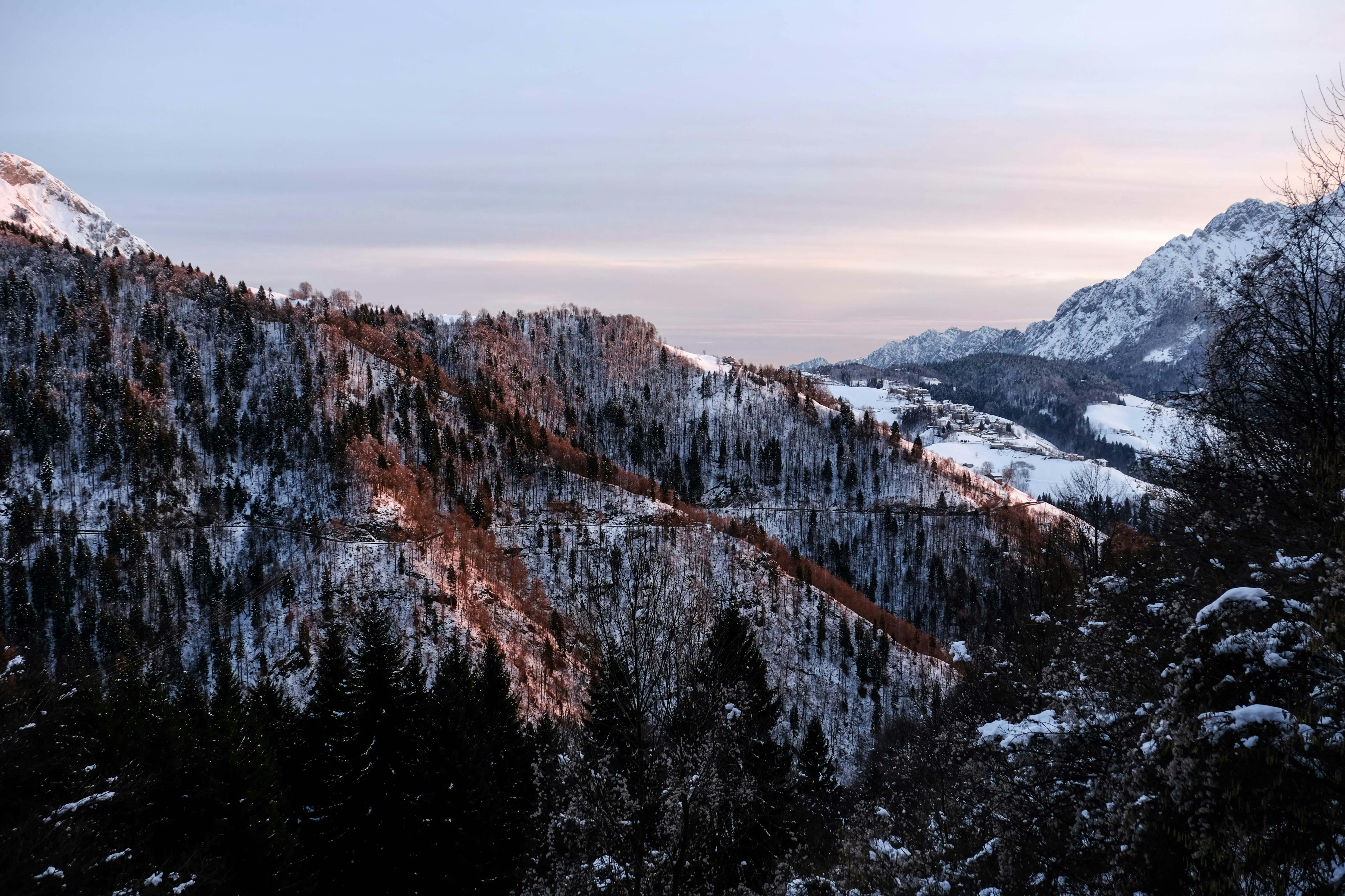 黎明时分，雪山山脉令人惊叹，树木结冰，天空宁静