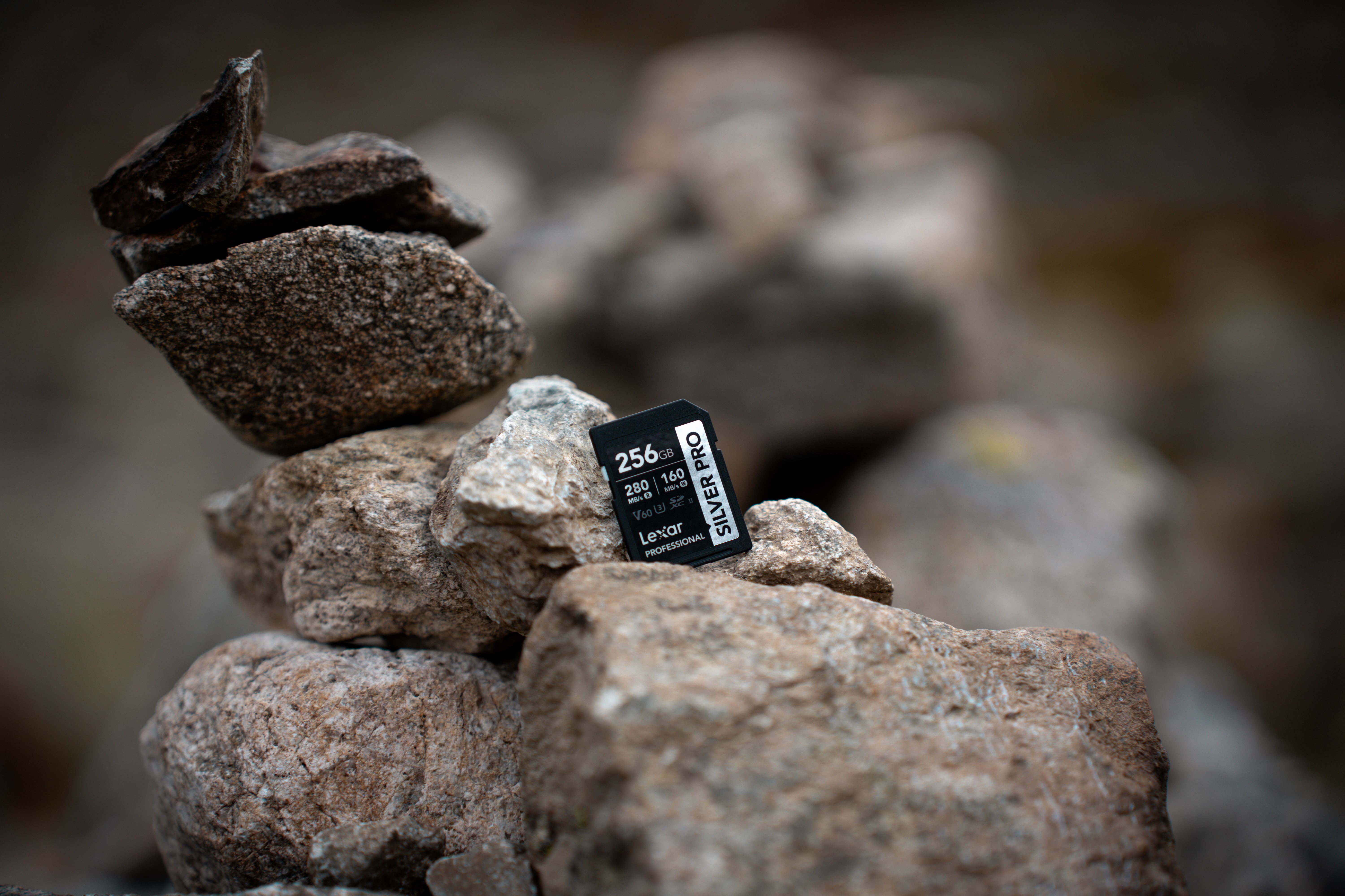 Close-up of an SD card resting on stacked rocks, symbolizing digital storage in nature.