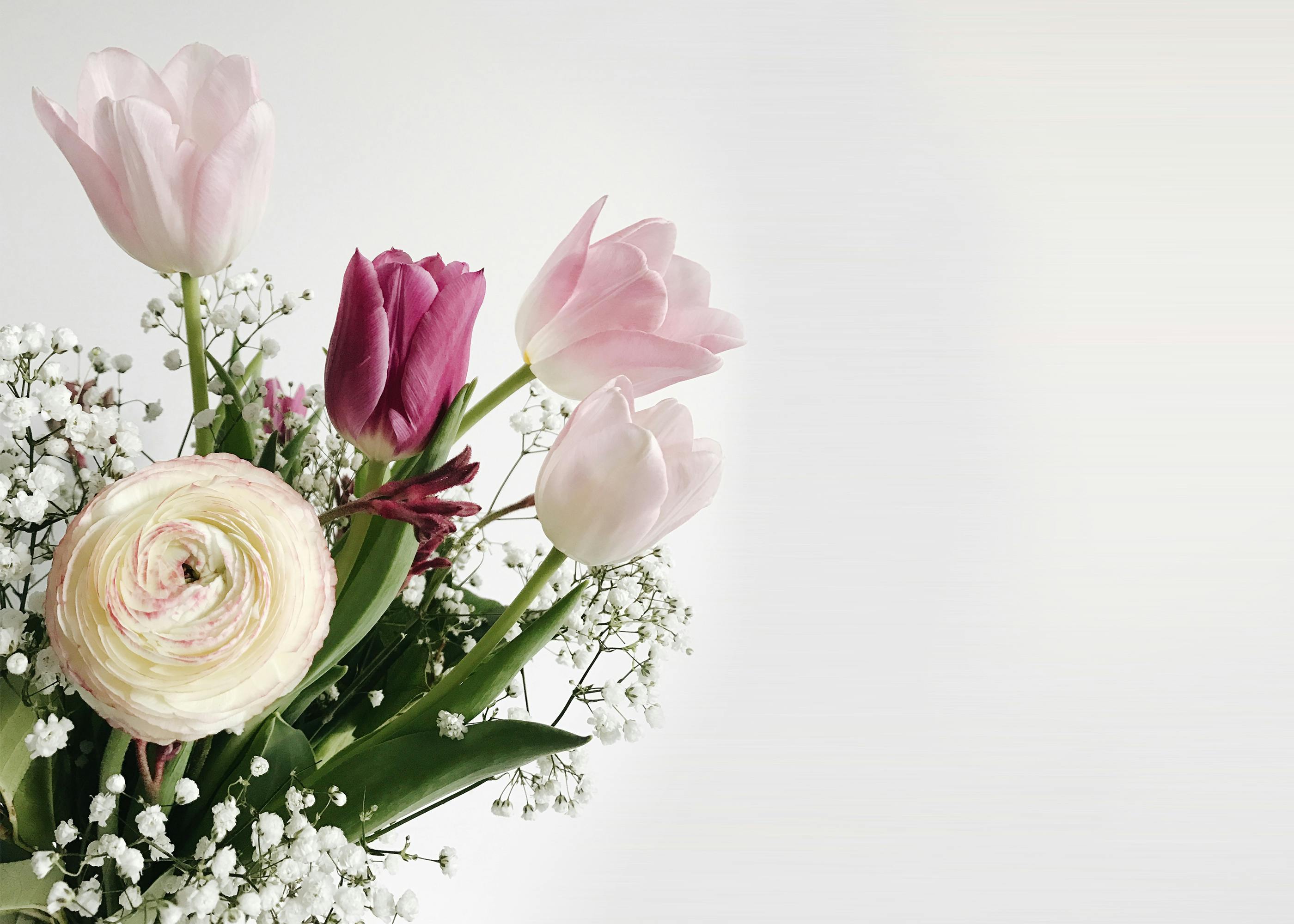Free stock photo of beautiful flowers, flower bouquet, spring flower