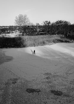 A striking black and white image of a solitary person walking across a snowy field under a clear sky.