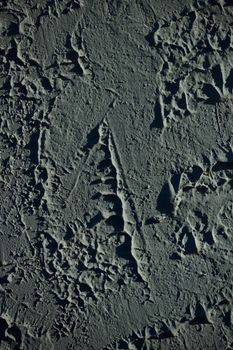 High-contrast abstract image showing a textured surface with intricate patterns resembling rock or lunar landscape.