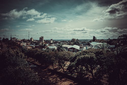 Gratis stockfoto met lucht boom, stadsgezicht, stadshemel