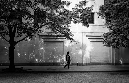 Black and white street photo of a person walking under tree shadows on a sunny day.