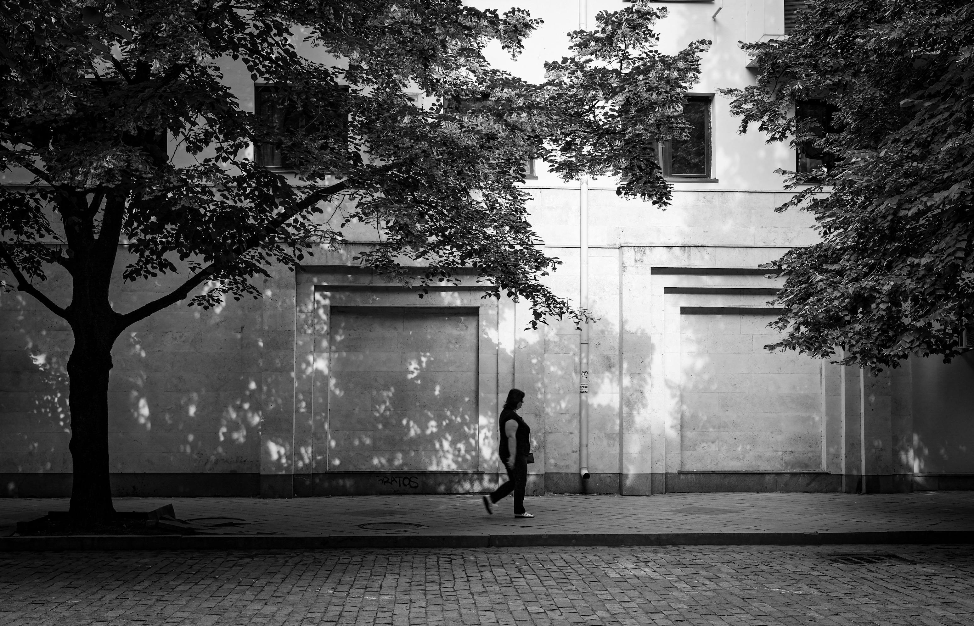 Gratuit Fotografie stradală alb-negru a unei persoane care merge sub umbrele copacilor într-o zi însorită. Fotografie de stoc