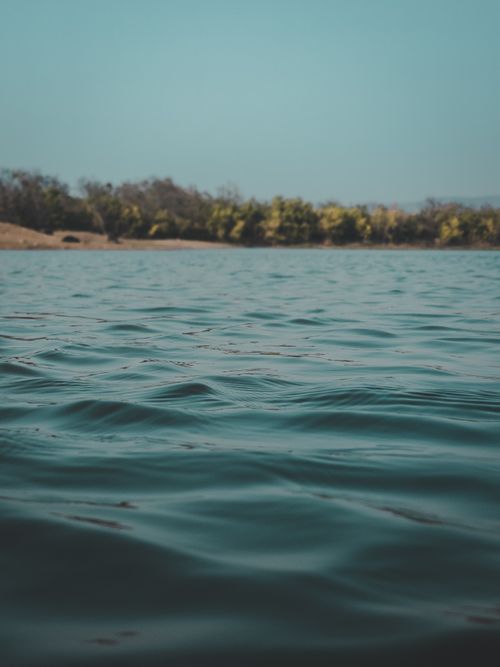 Free Peaceful lake with gentle ripples, surrounded by trees under a clear sky, capturing the tranquility of nature. Stock Photo