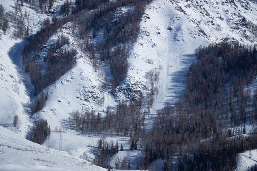 A scenic view of a snow-covered mountain with scattered trees in winter.