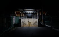 Kyoto Urban Underpass at Night