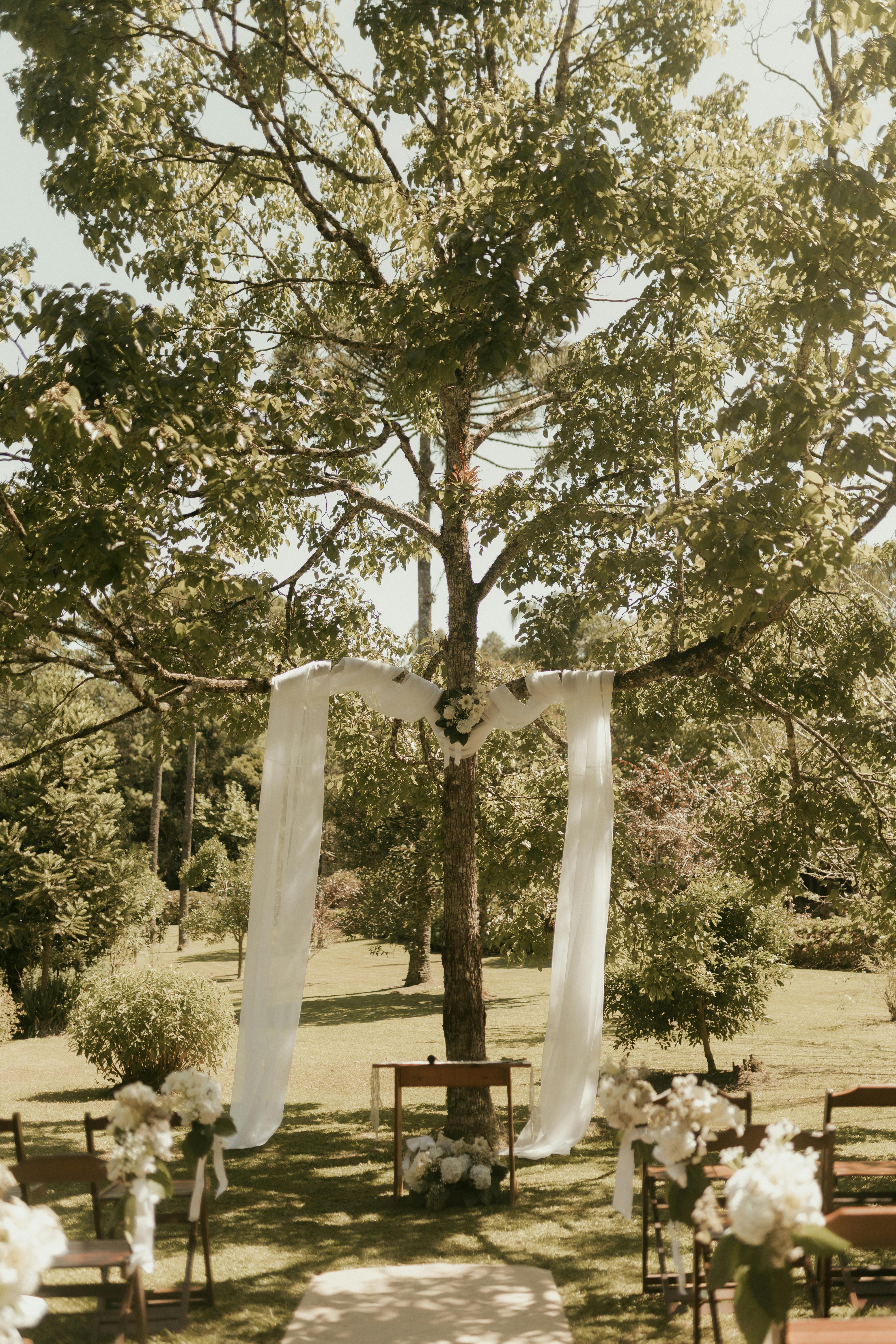 Free Elegant outdoor wedding ceremony scene under a tree adorned with white drapery and flowers. Stock Photo