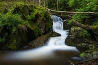 宁静的瀑布流经苔藓覆盖的森林，展现了自然的宁静之美