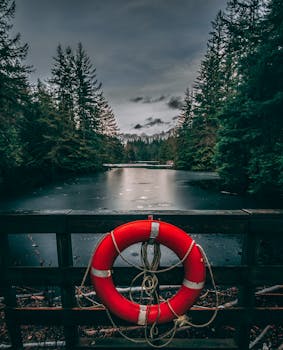 一个红色救生圈悬挂在栏杆上，俯瞰着北温哥华一片被茂密森林包围的宁静湖泊