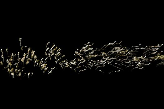 Abstract light trails creating dynamic patterns against a dark background.