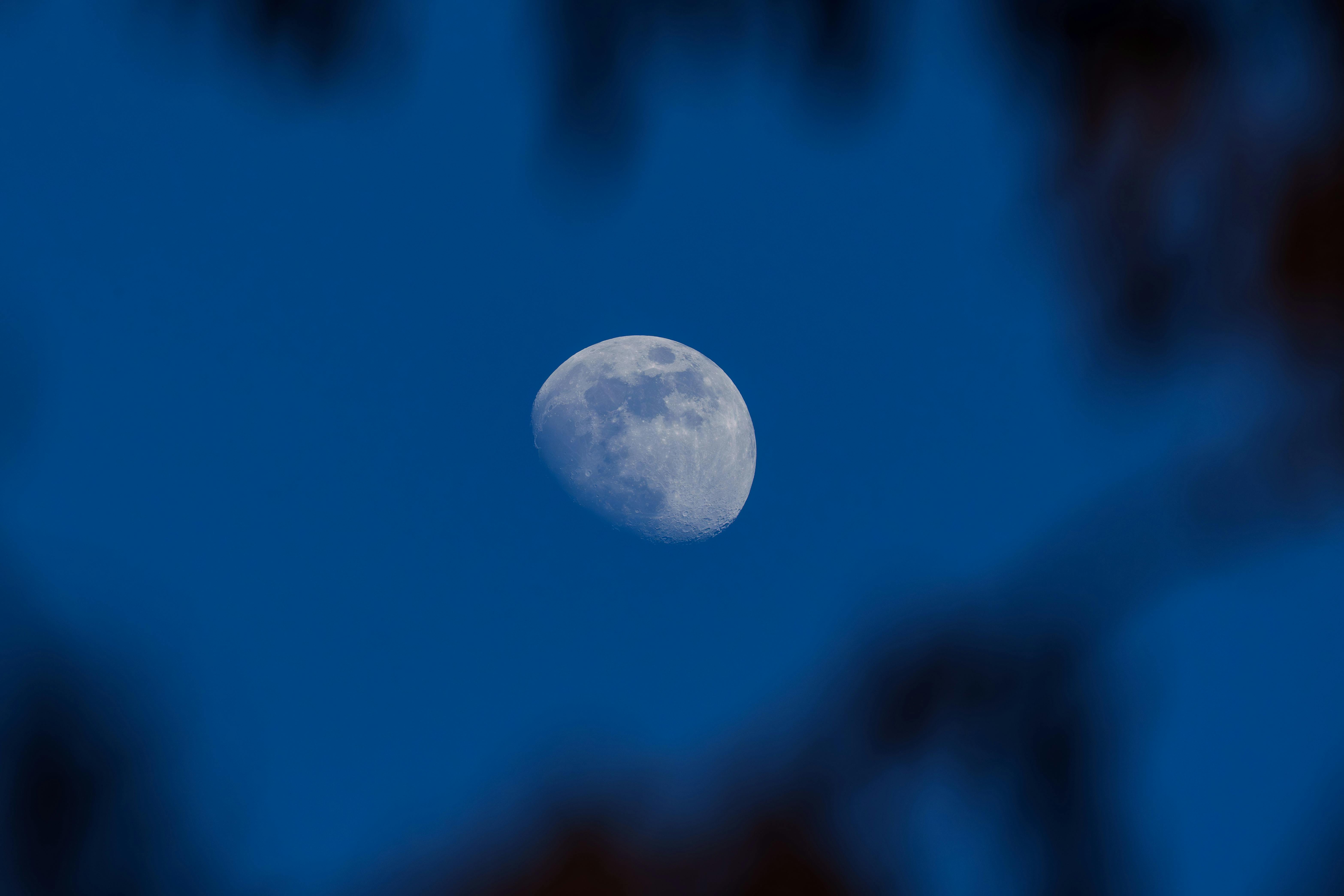 Kostenlos Faszinierendes Bild des Mondes, der durch die Silhouette von Ästen vor einem tiefblauen Himmel zu sehen ist. Stock-Foto