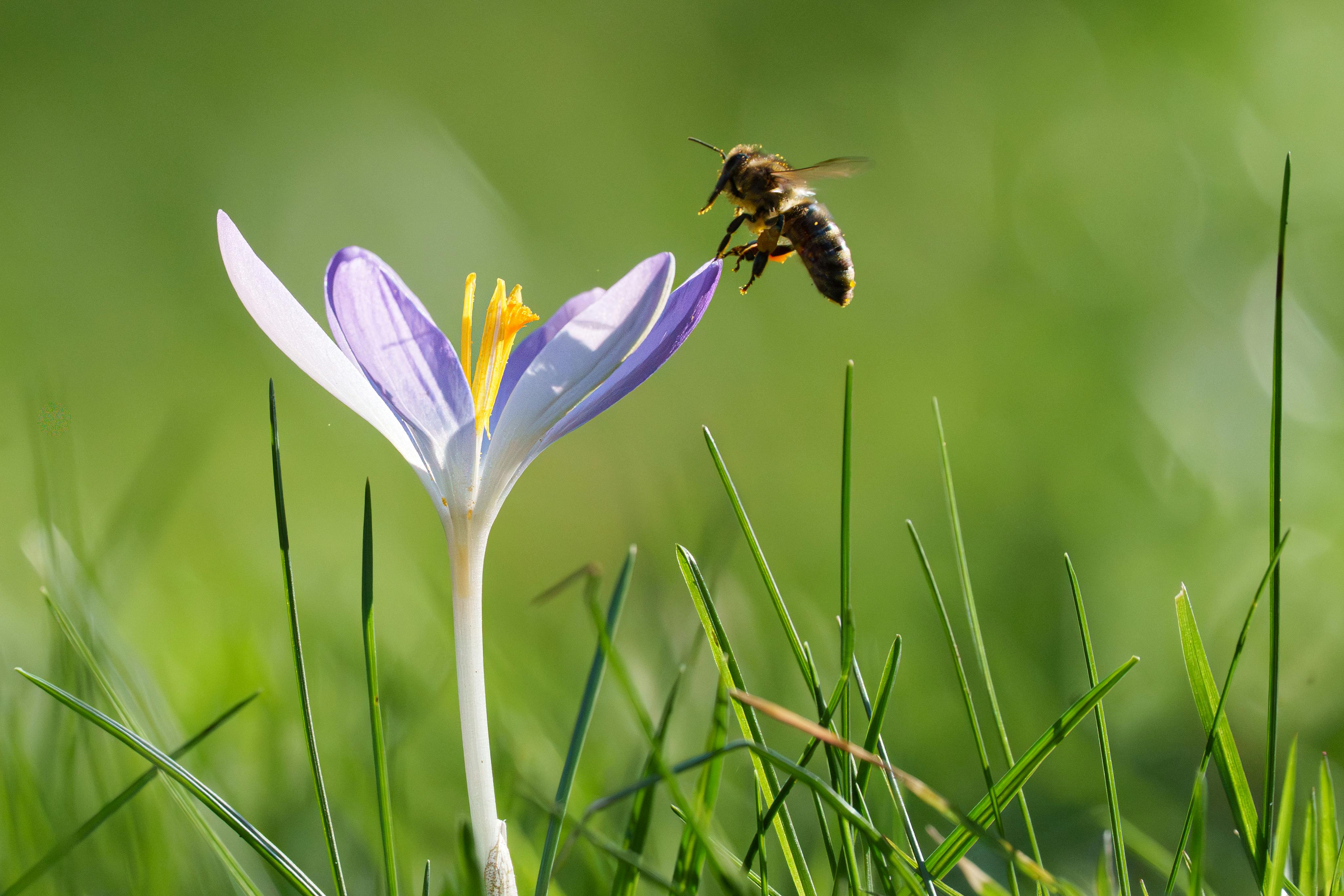 Ark Valley Civics Bee Competition to Send Three Local Students to State — Photo by Masood Aslami on Pexels