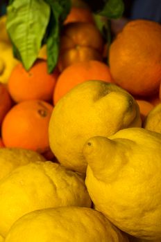 Bright and colorful pile of fresh lemons and oranges, perfect for culinary and health themes.