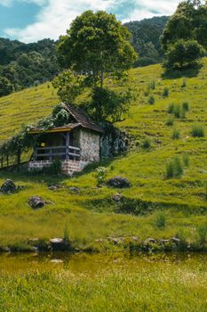 Charming stone cottage nestled in lush green hills by a serene pond in the countryside.