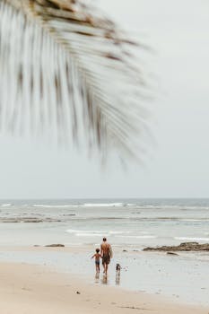A serene moment of a father and son walking their dog along a tropical beach under palm leaves.