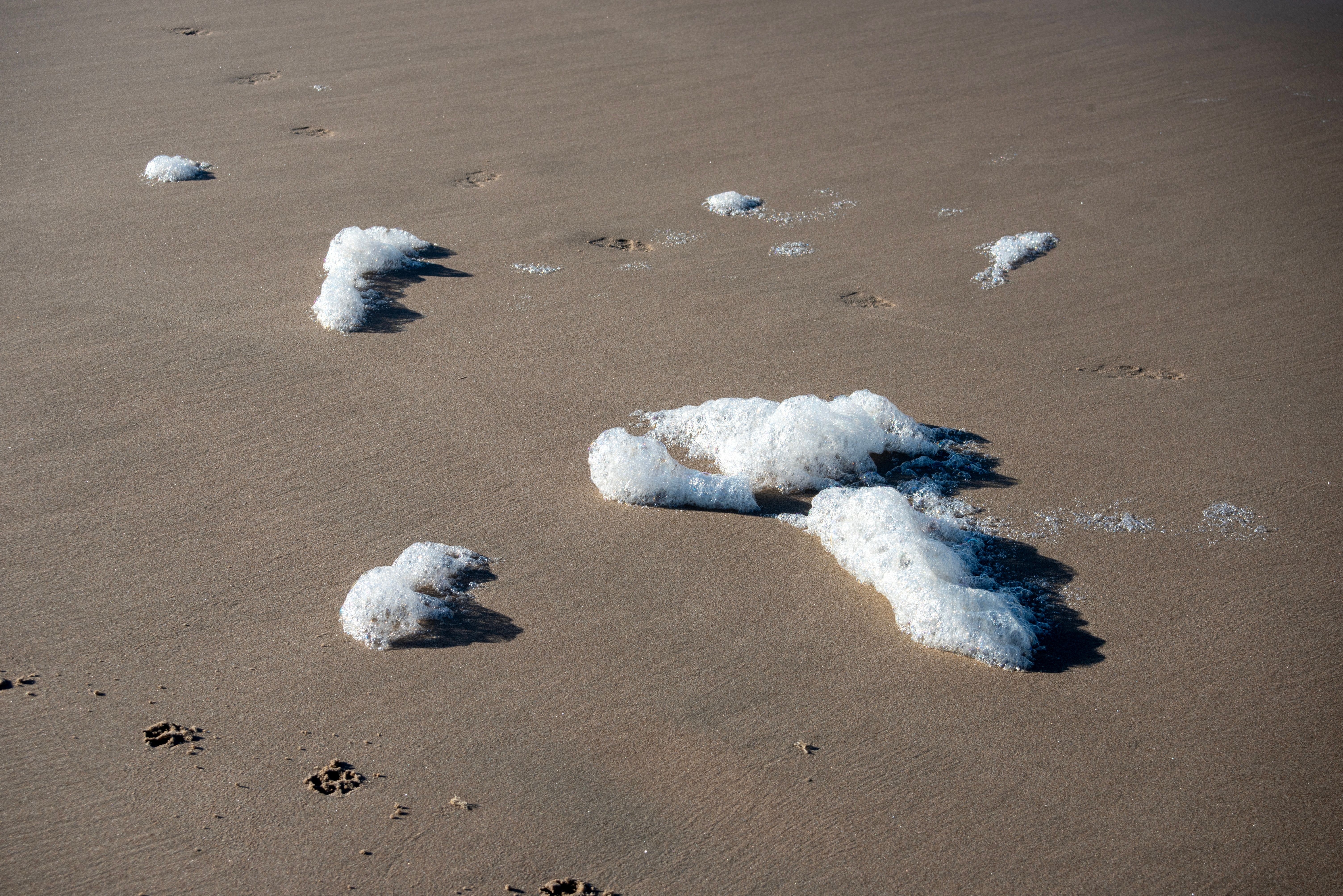Close-up of sea foam on a sandy beach, with footprints visible, under bright daylight.