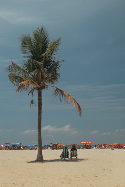 Gratis stockfoto met blauwe lucht, Brazilië, strand