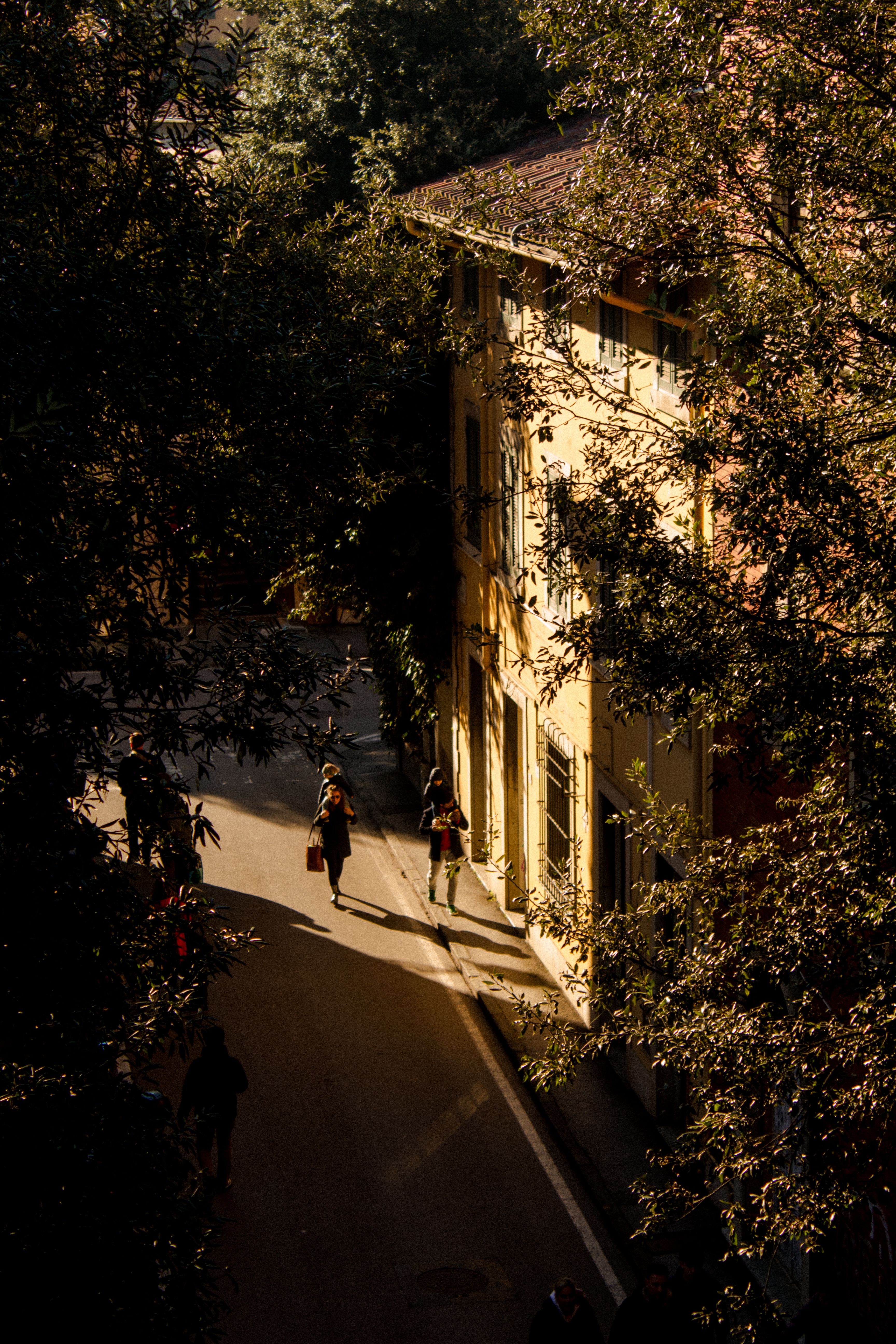 Charming sunset scene in Pisa, Italy, with people strolling down a sunlit street.