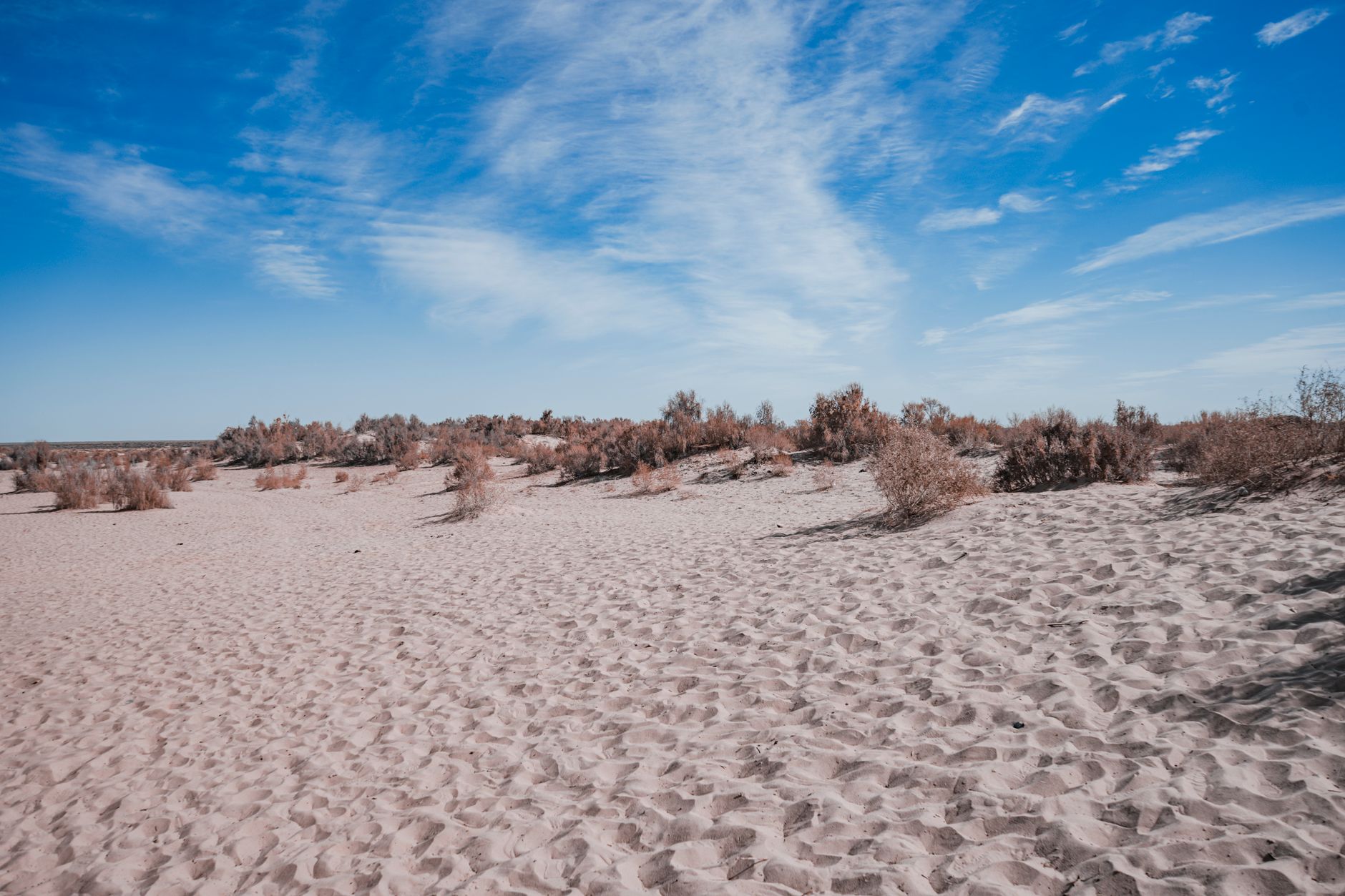 A vast desert landscape with sparse vegetation under a bright blue sky depicting ecological challenges.