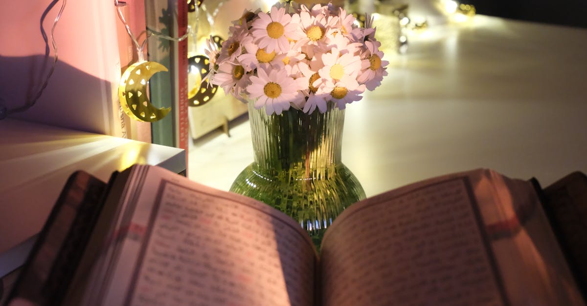 賴清德:對政治流氓不能只講道理,陳水扁與蔡英文的啟示