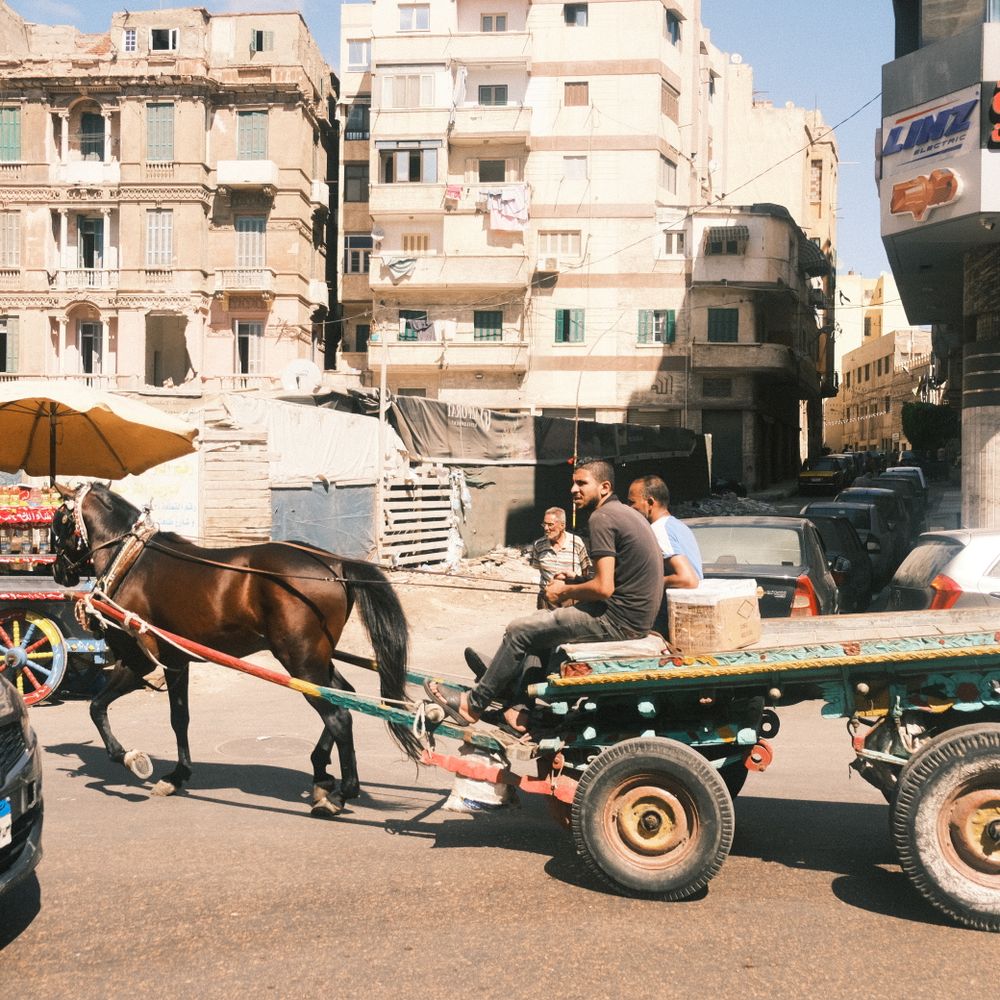 Quarrier's Village — movers carrying boxes for a flat move