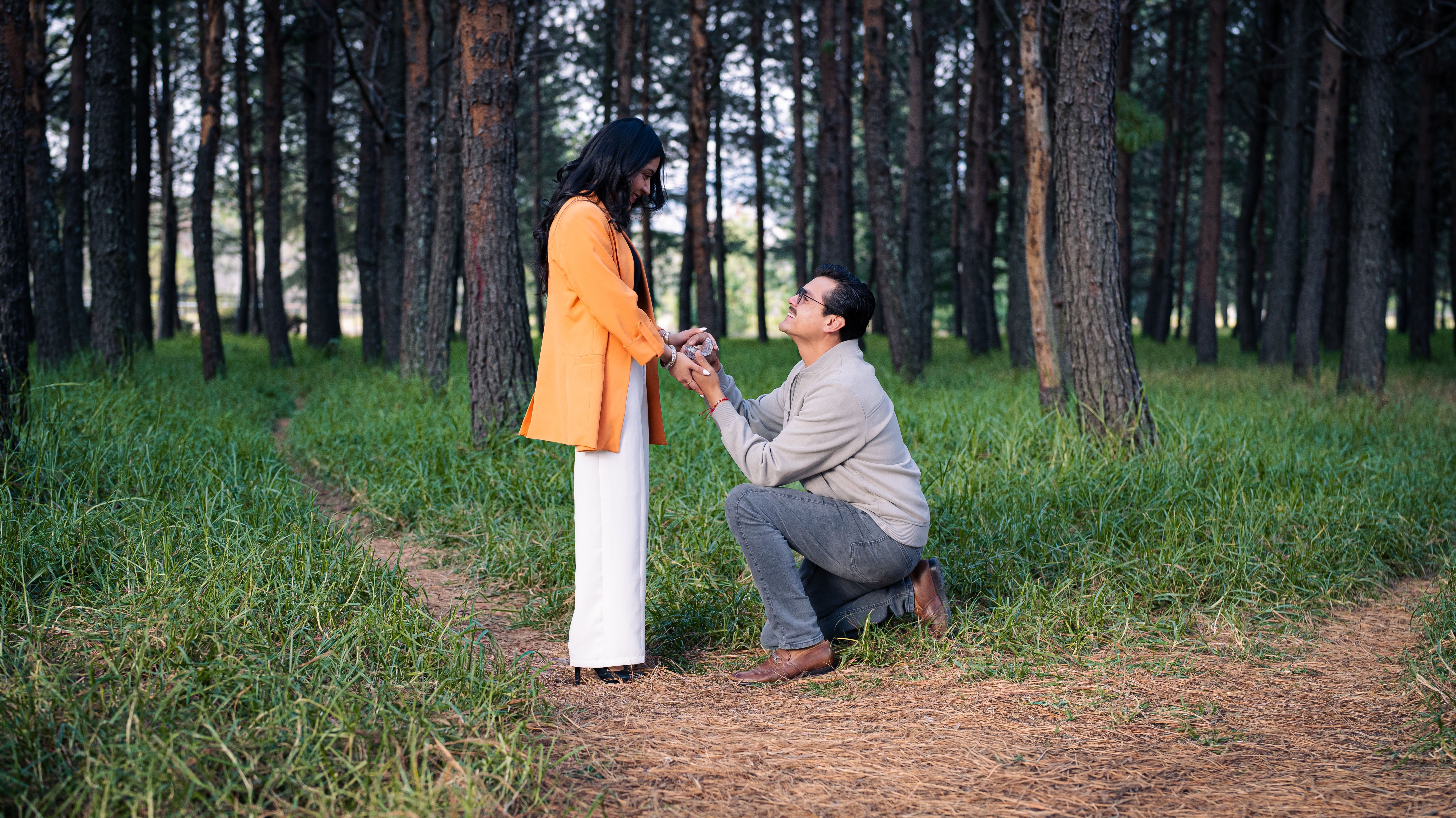 Romantic Outdoor Proposal in a Forest Setting · Free Stock Photo