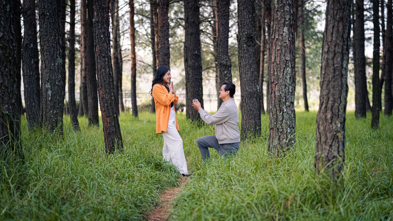 heartfelt marriage proposal in a serene forest backdrop capturing a ro