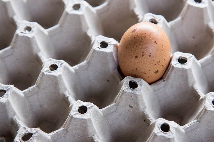 Quail Egg In Tray