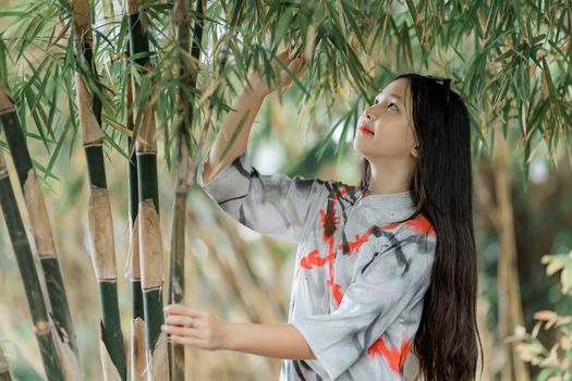 展示竹制建筑、家具、乐器及竹笋食材的拼图